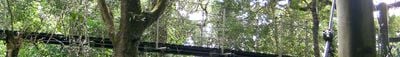 Panoramik Görünüm 1