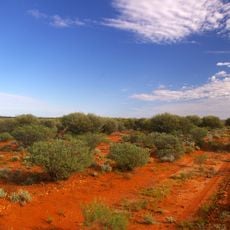 Mamungari Conservation Park