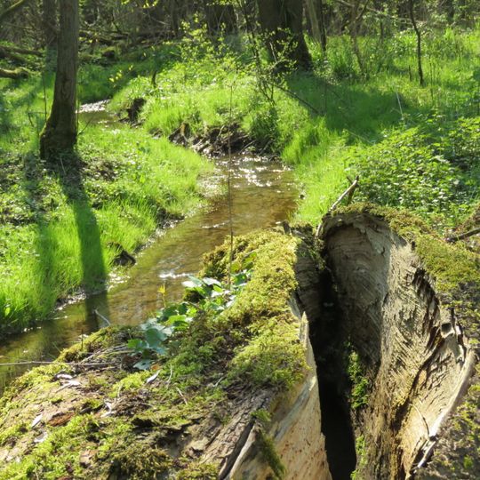 Steinerne Rinne und Mechower Holz