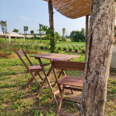 Il Lavandeto della Lobia :: Azienda Agricola Orna