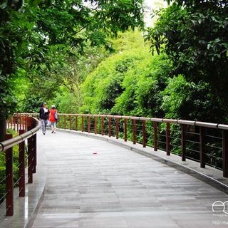 Gucheng Park