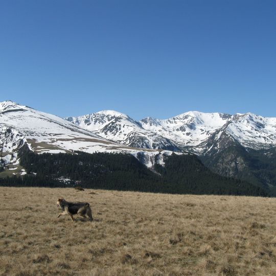 Southern Carpathians