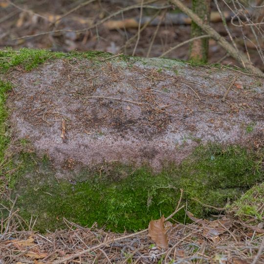Grenzstein Fürther Stadtwald in Fürth
