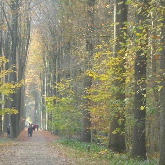 Lippensgoed-Bulskampveld