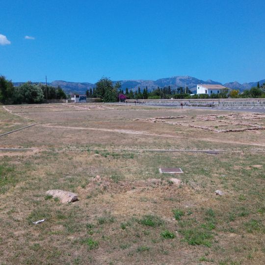 Campament romà de Son Espases