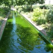 Atrakcje Paryża: alternatywne miejsca, ukryte muzea, dzielnice lokalne