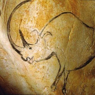 Cueva de Chauvet
