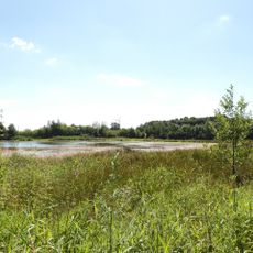 LSG-Hartwick - Berkel