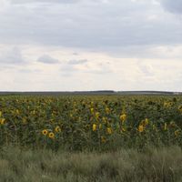 Bol'šeglušickij rajon