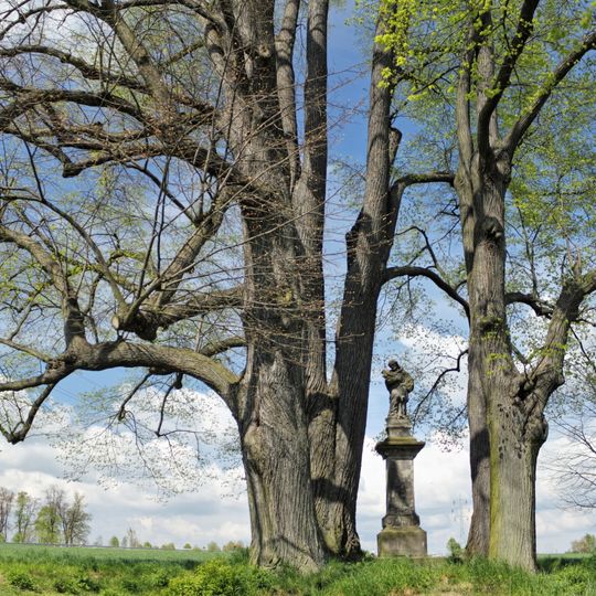 Lípy okolo sochy sv. Jana Nepomuckého v Paceřicích