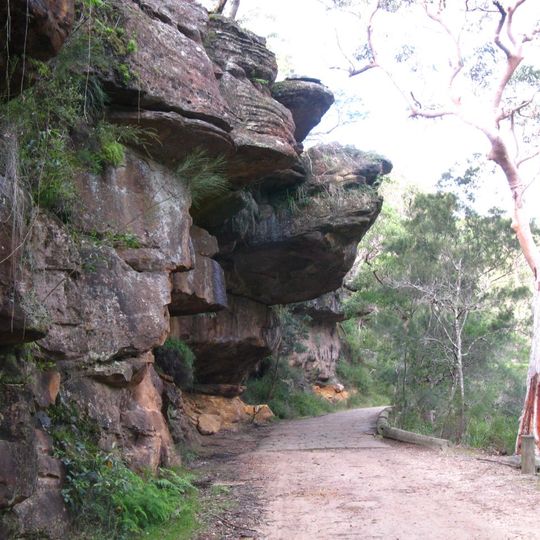 Lady Carrington Drive