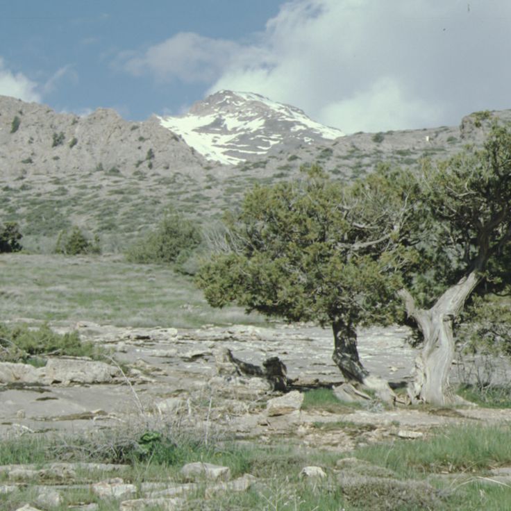 Planalto dos Dinossauros