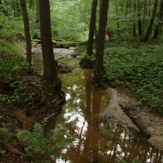 Rezerwat przyrody Dolina Stradanki