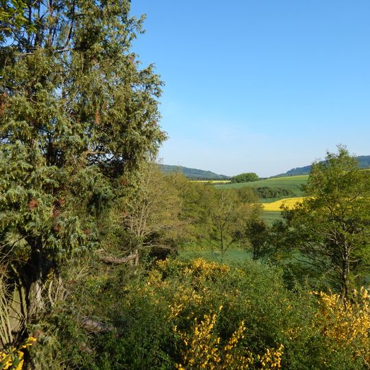 Wacholderheide bei Rohrbach