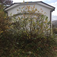 Saint Paraskeva Church, Kozica