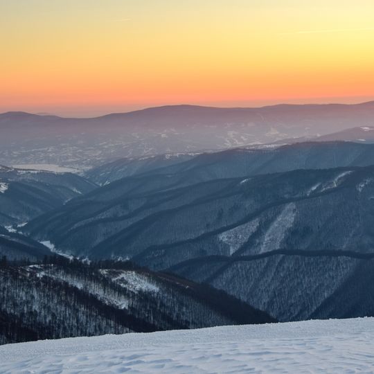Боржавські праліси