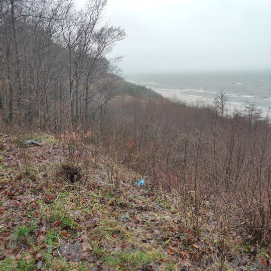 Klif Jastrzębia Góra