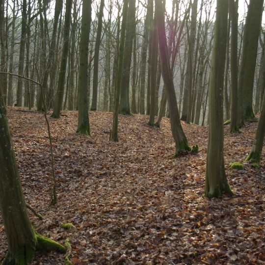 Ringwall Schwedenschanze