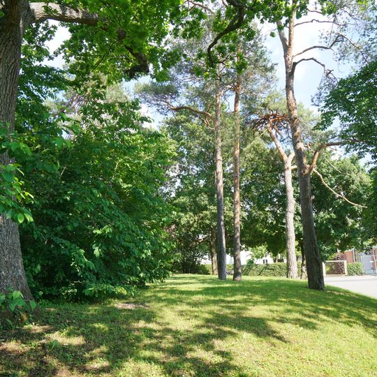 Grünanlage mit Stieleiche am Birkenweg