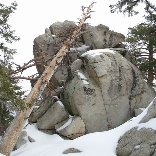 Mount San Jacinto State Park