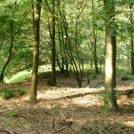 Terrein waarin grafheuvel # 45115