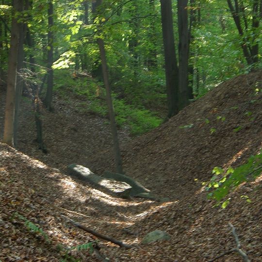 Rezerwat przyrody Parowy Janinowskie