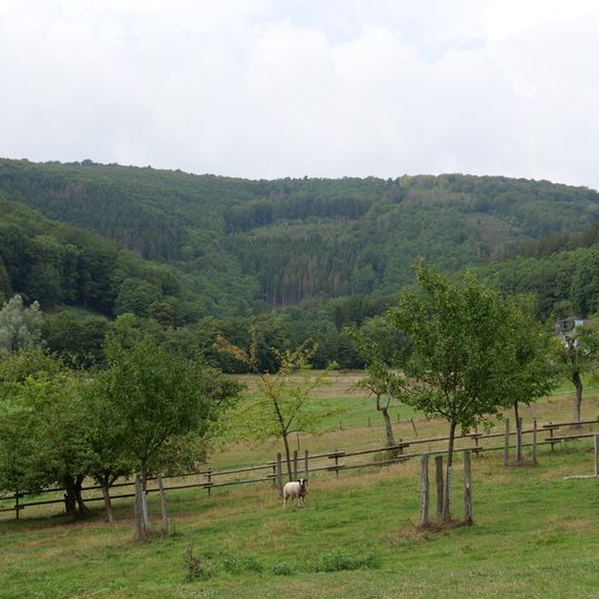 Erkensruhrtal mit Nebenbächen und Felsen am Oberseeufer