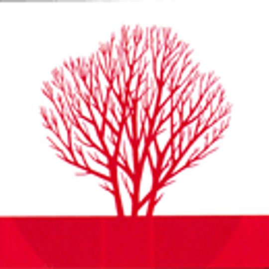 Distretto di Sîngerei