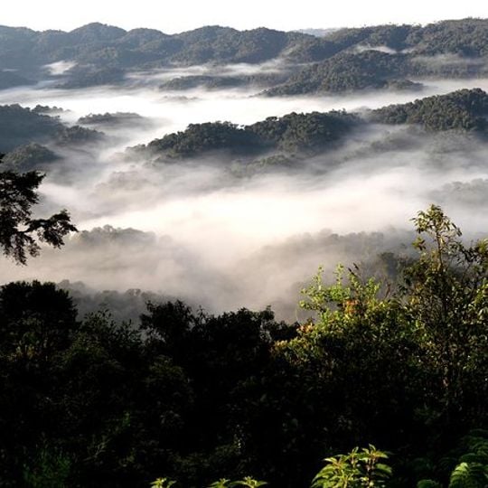 Parco nazionale di Mayumba