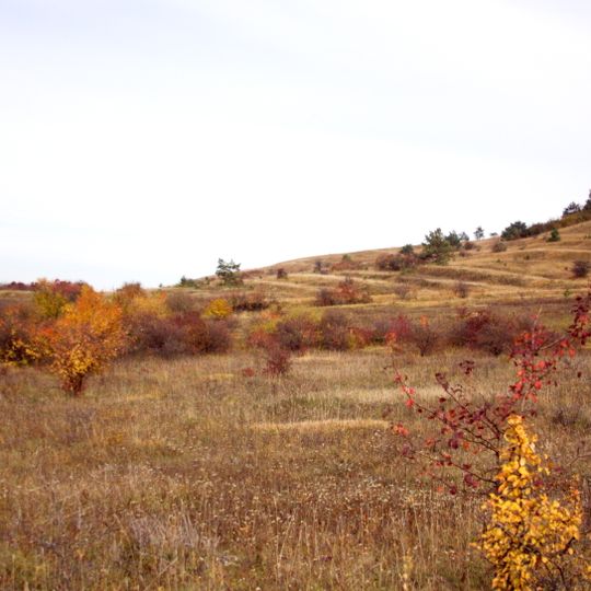 Bald Mountain and Mount barn owl
