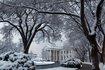 Winter 2