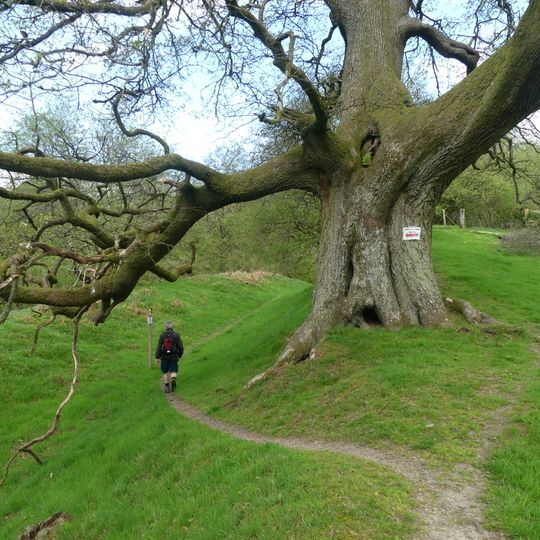 Offa's Dyke: section 90m south of Brynorgan