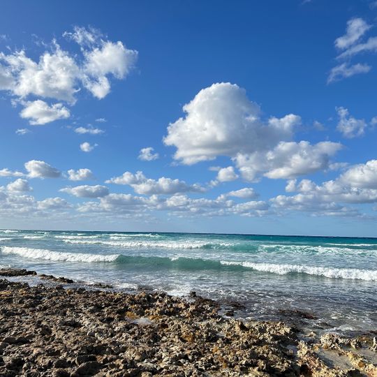 Coral Garden Community Beach