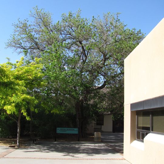 University of New Mexico Arboretum