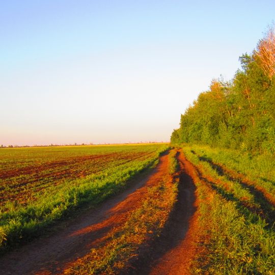 Pervomaysky District