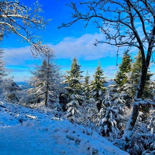 Haardtrand - Unterhalb der Madenburg