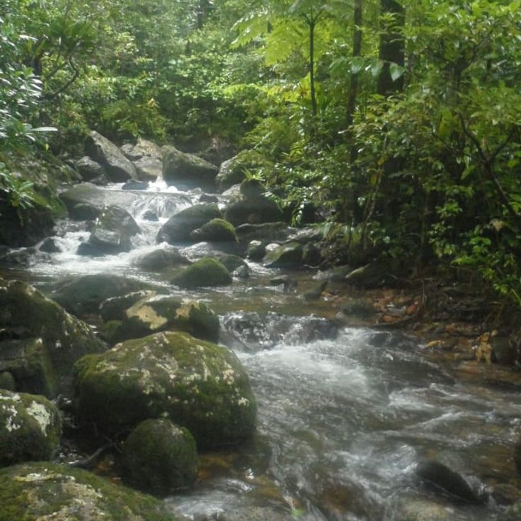 Parc National de Masoala