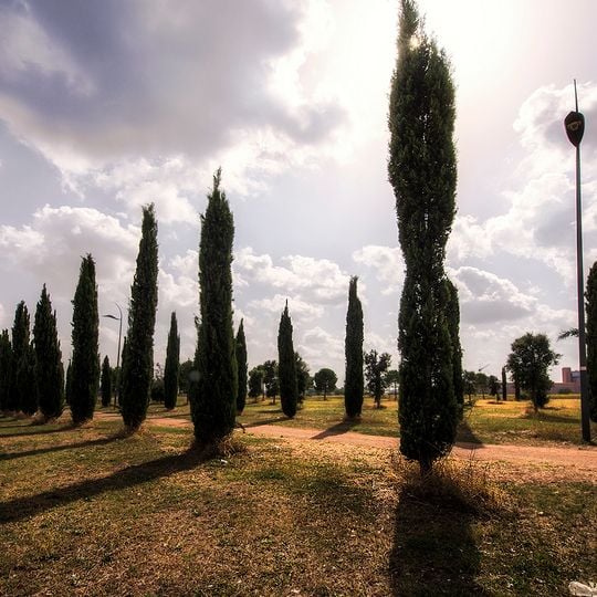 Parc archéologique de Centocelle