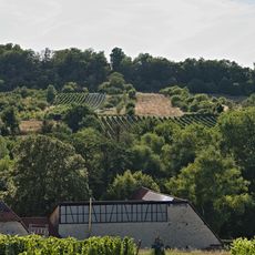 Kalkflugsandgebiet Mainz-Ingelheim