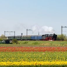 Stoom Stichting Nederland
