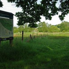 Sawbridgeworth Marsh