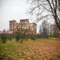 Բելկինո (գյուղ, Բորովսկի շրջան)