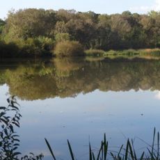 Naturschutzgebiet Gemeindesee von Langsdorf