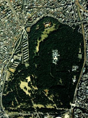 Aerial View 4