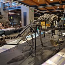 Hungarian Natural History Museum