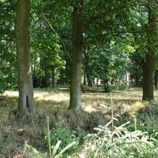 Palace park in Luszkówko