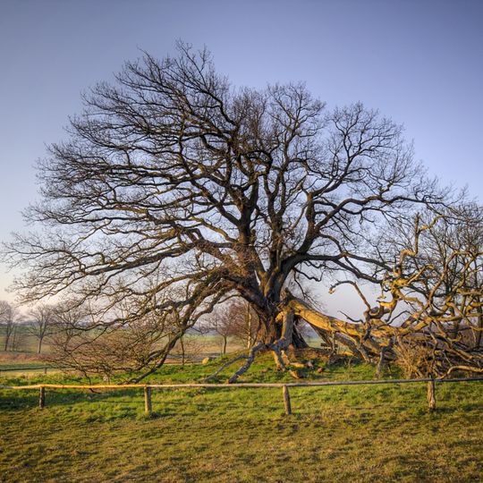 Usedoms Botanischer Garten Mellenthin