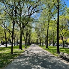 Commonwealth Avenue Mall