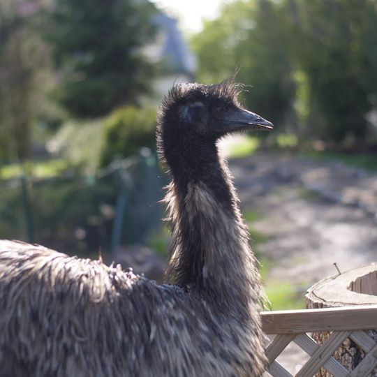 Zwierzaki Nad Potokiem Mini ZOO