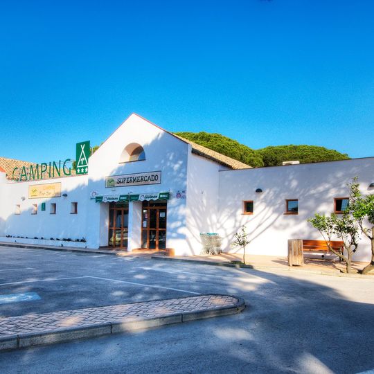 Camping Pinar San José